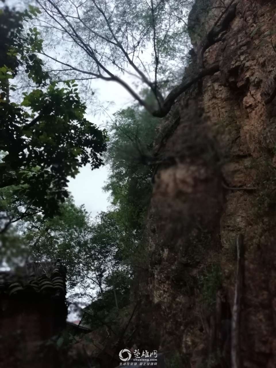20180613_298023_1528891384798.jpg