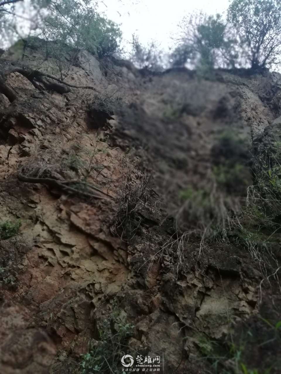 20180614_298023_1528973412386.jpg