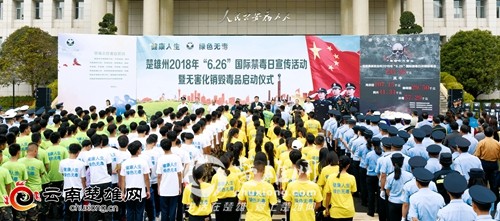 126998_500x500.jpg