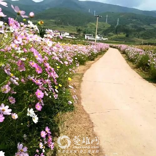 微信图片_20180725151934.jpg
