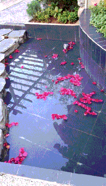 640.gif