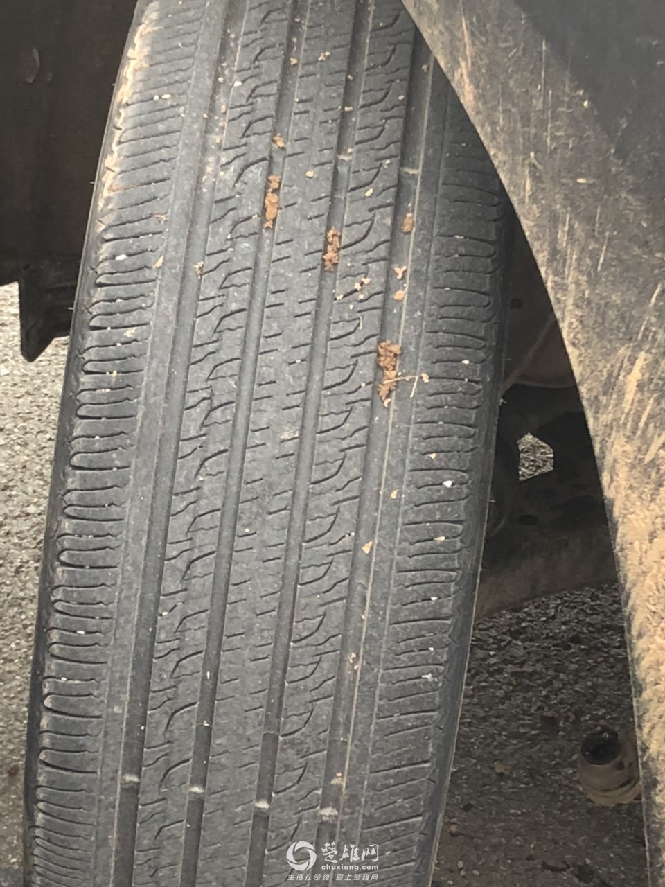201808143002181534243730935748.jpg