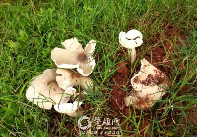 QQ图片20180821115910.png