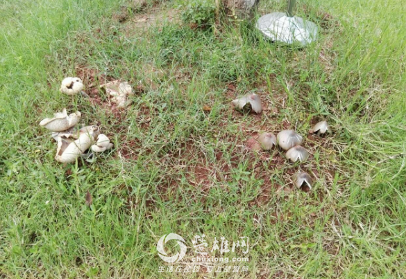 QQ图片20180821120718.png