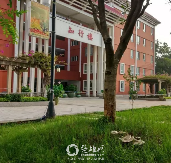 QQ图片20180821115932.png