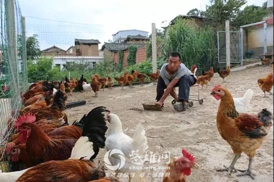 微信图片_20180829095014.jpg