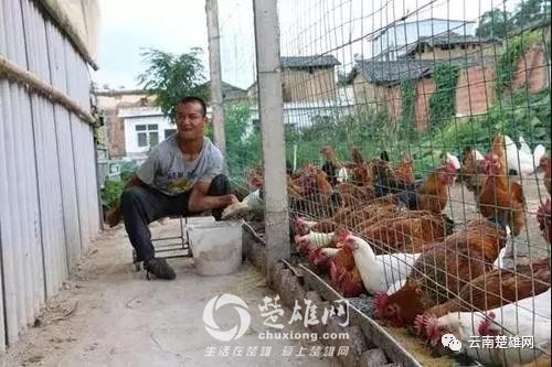 微信图片_20180829095008.jpg