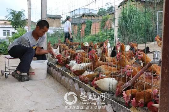 微信图片_20180829095024.jpg