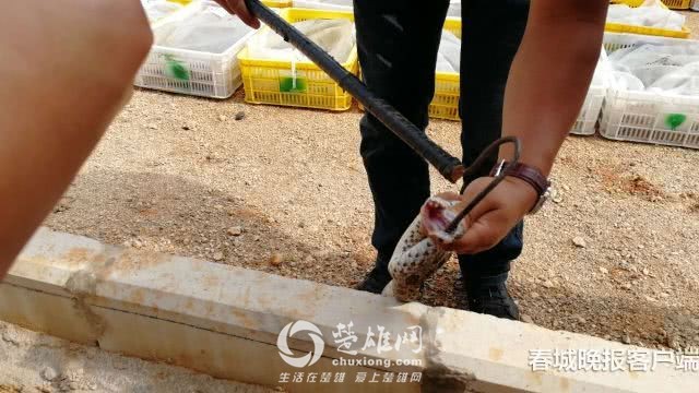 微信图片_20180829102935.jpg