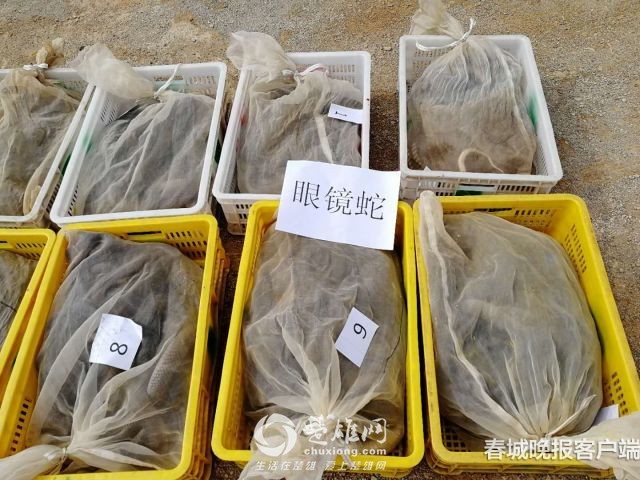 微信图片_20180829102942.jpg