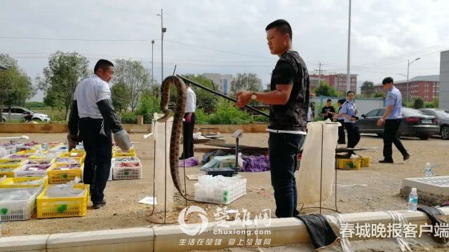 微信图片_20180829103009.jpg