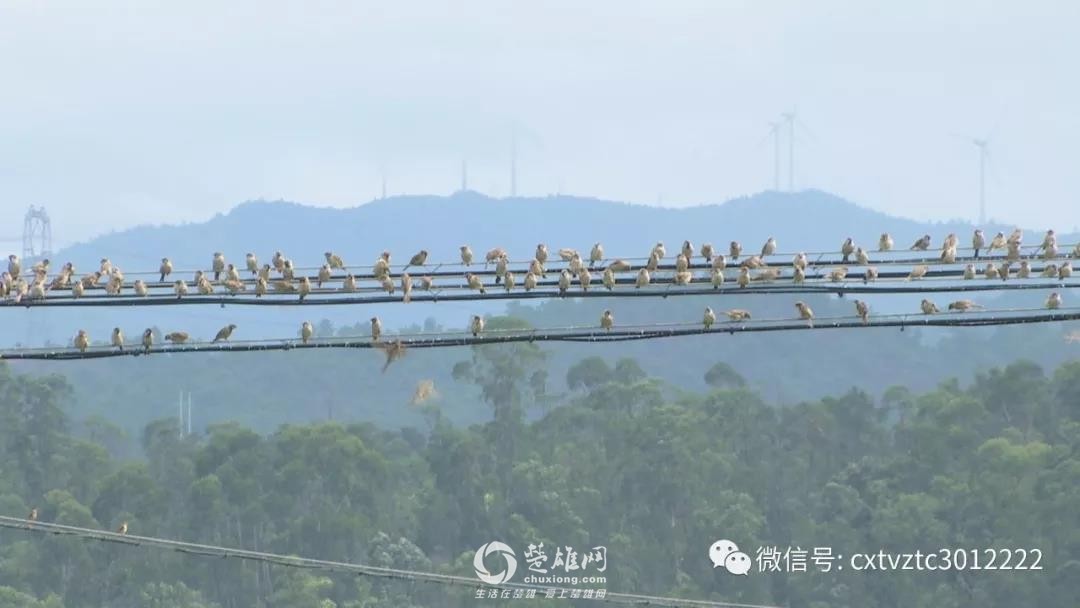 微信图片_20180830091152.jpg