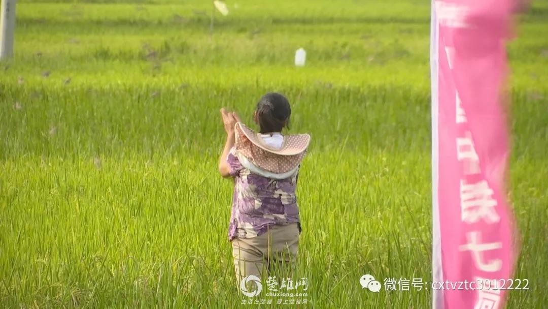微信图片_20180830091210.jpg