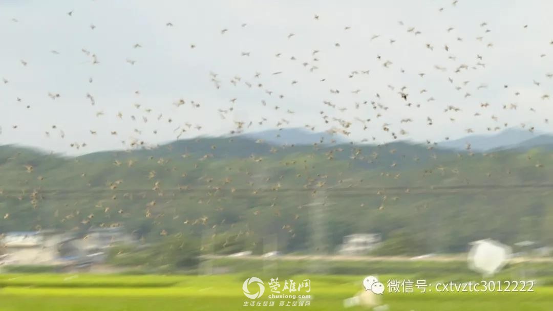 微信图片_20180830091214.jpg