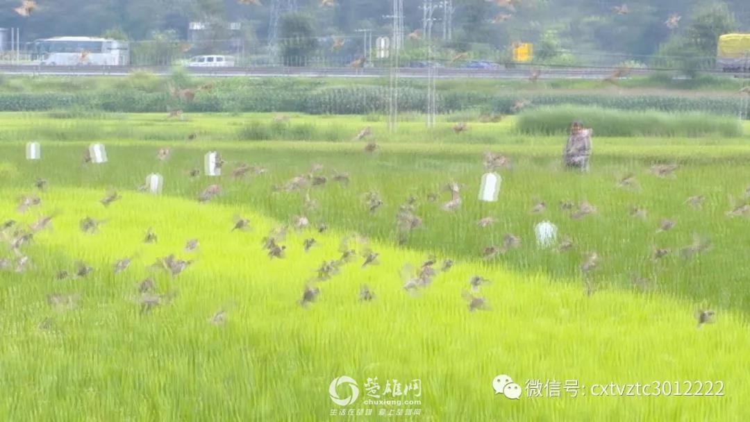 微信图片_20180830091206.jpg