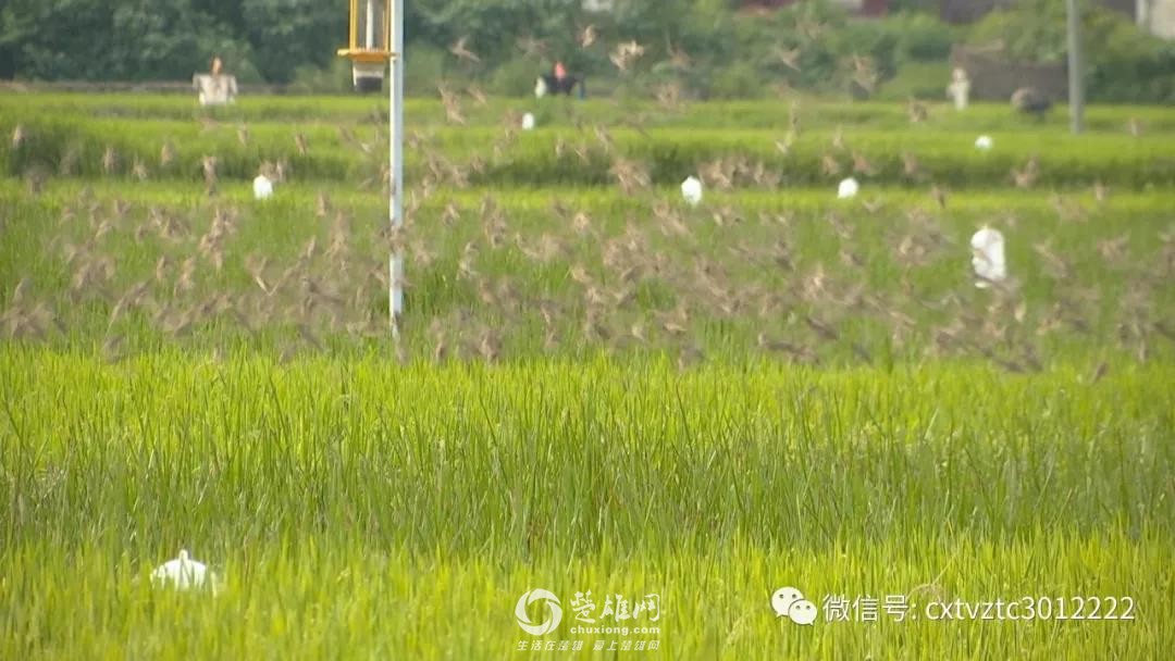 微信图片_20180830091218.jpg