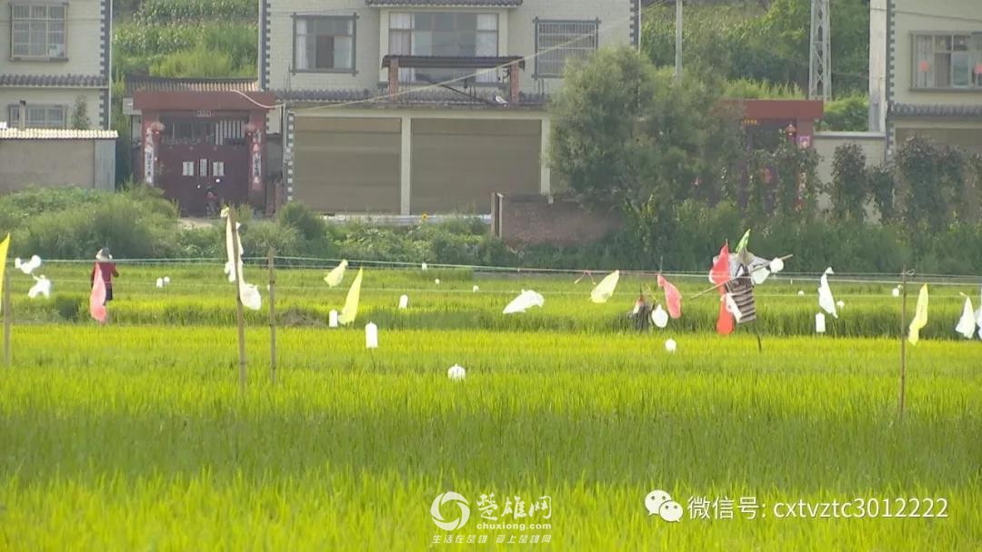微信图片_20180830091222.jpg