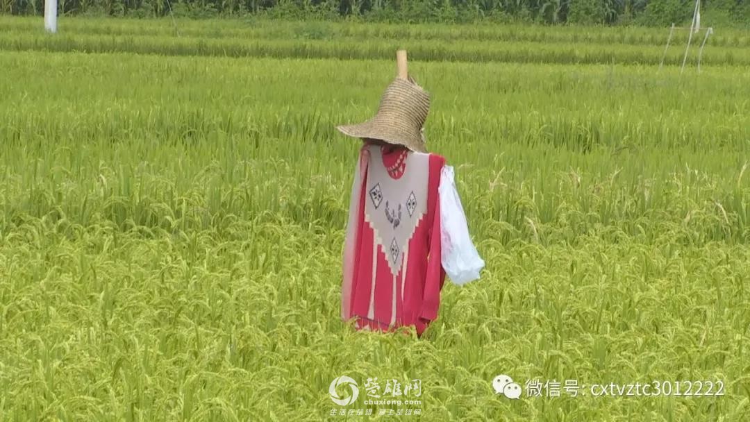微信图片_20180830091226.jpg
