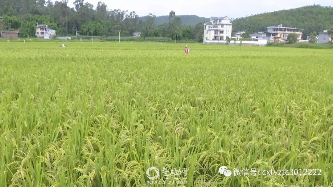 微信图片_20180830091233.jpg