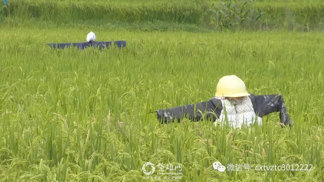 微信图片_20180830091230.jpg