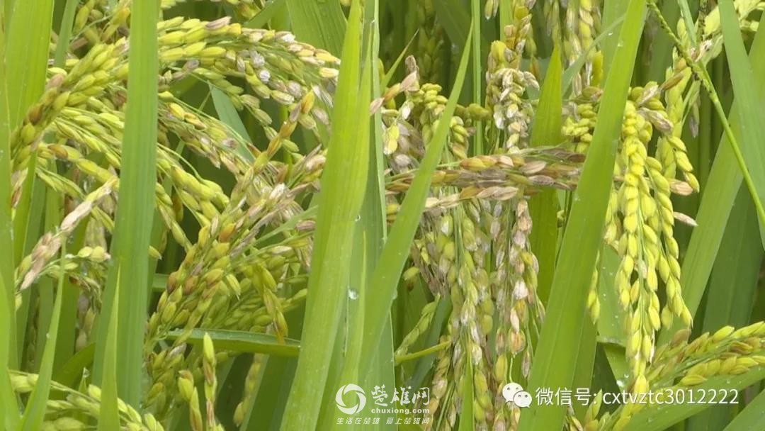 微信图片_20180830091237.jpg
