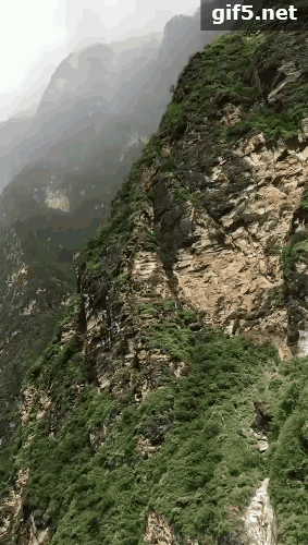 微信图片_20180830145217.gif
