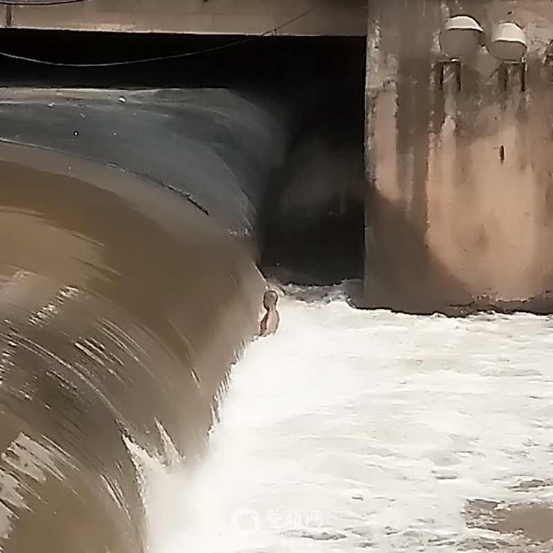楚雄网_20180831_100244.jpg