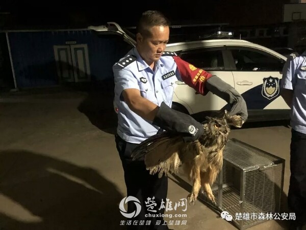 微信图片_20180901134529.jpg