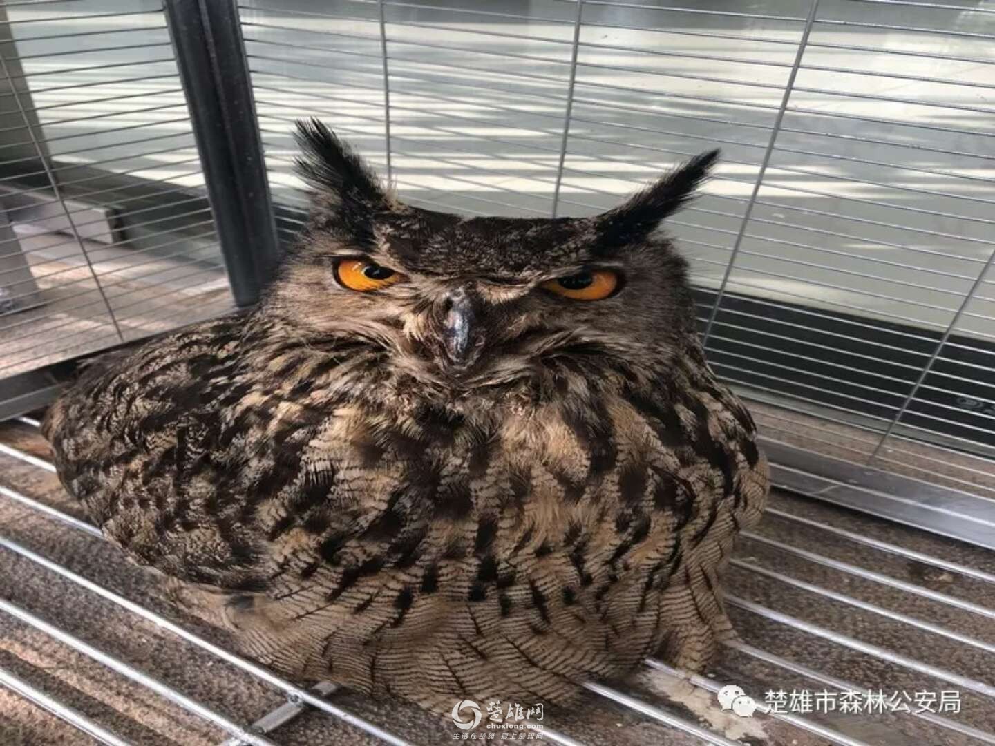 微信图片_20180901134543.jpg