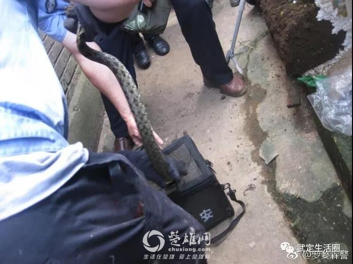 微信图片_20180903093521.jpg