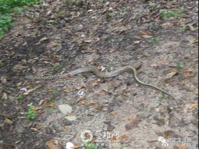 微信图片_20180903093534.jpg