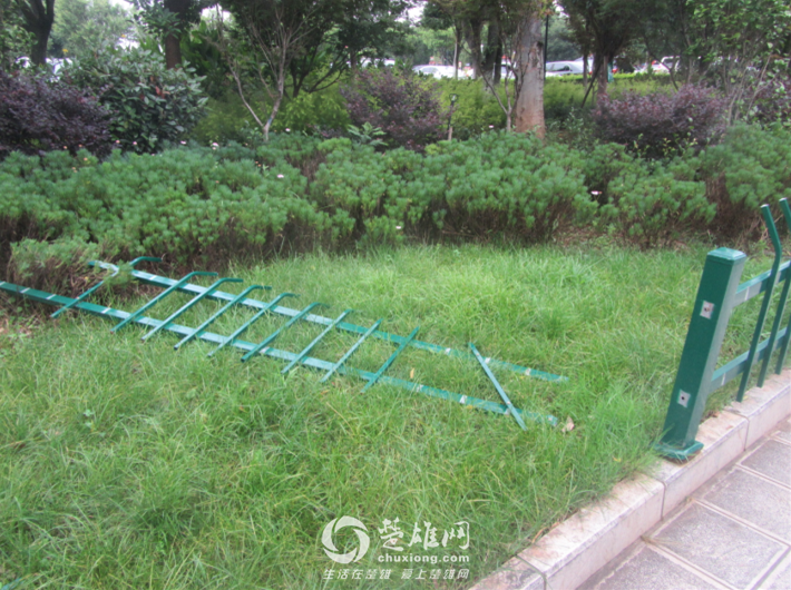 QQ图片20180904111914.png