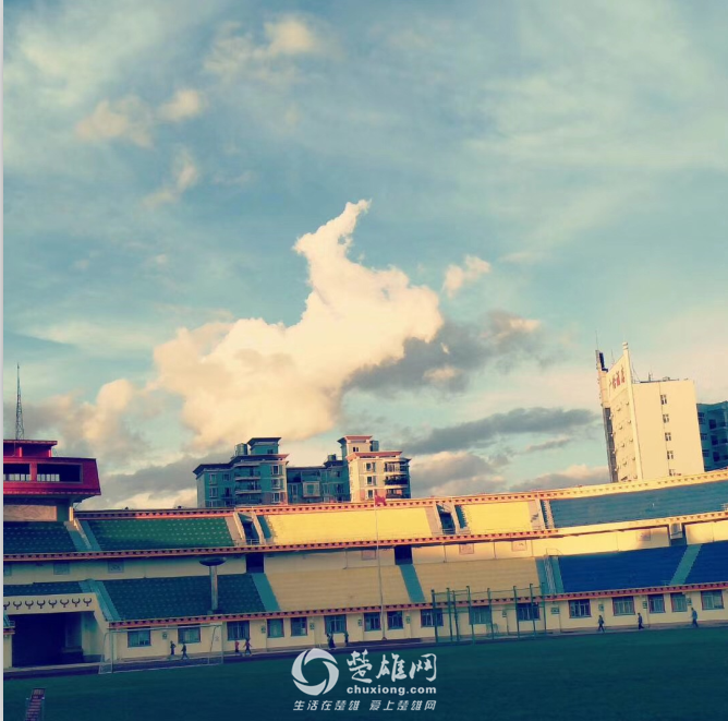 QQ图片20180912152018.png
