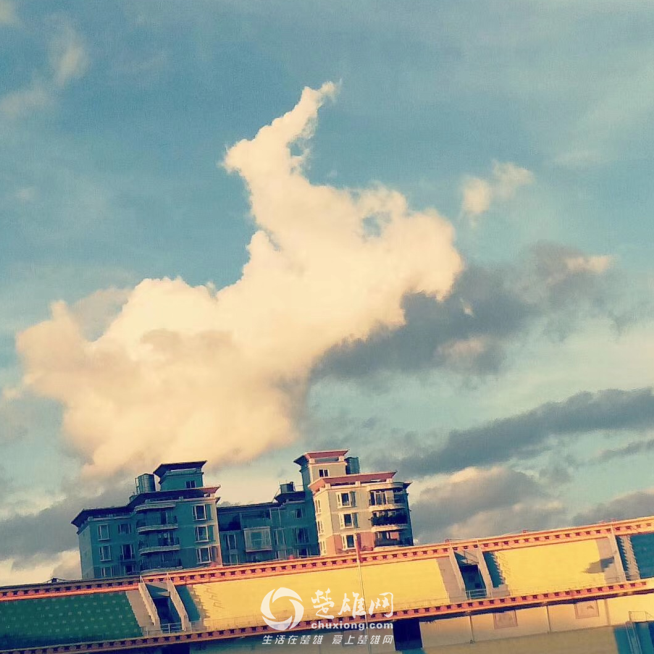 QQ图片20180912152047.png