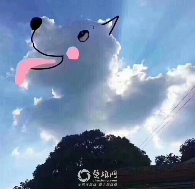 QQ图片20180912152341.png