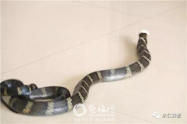微信图片_20180913155028.jpg