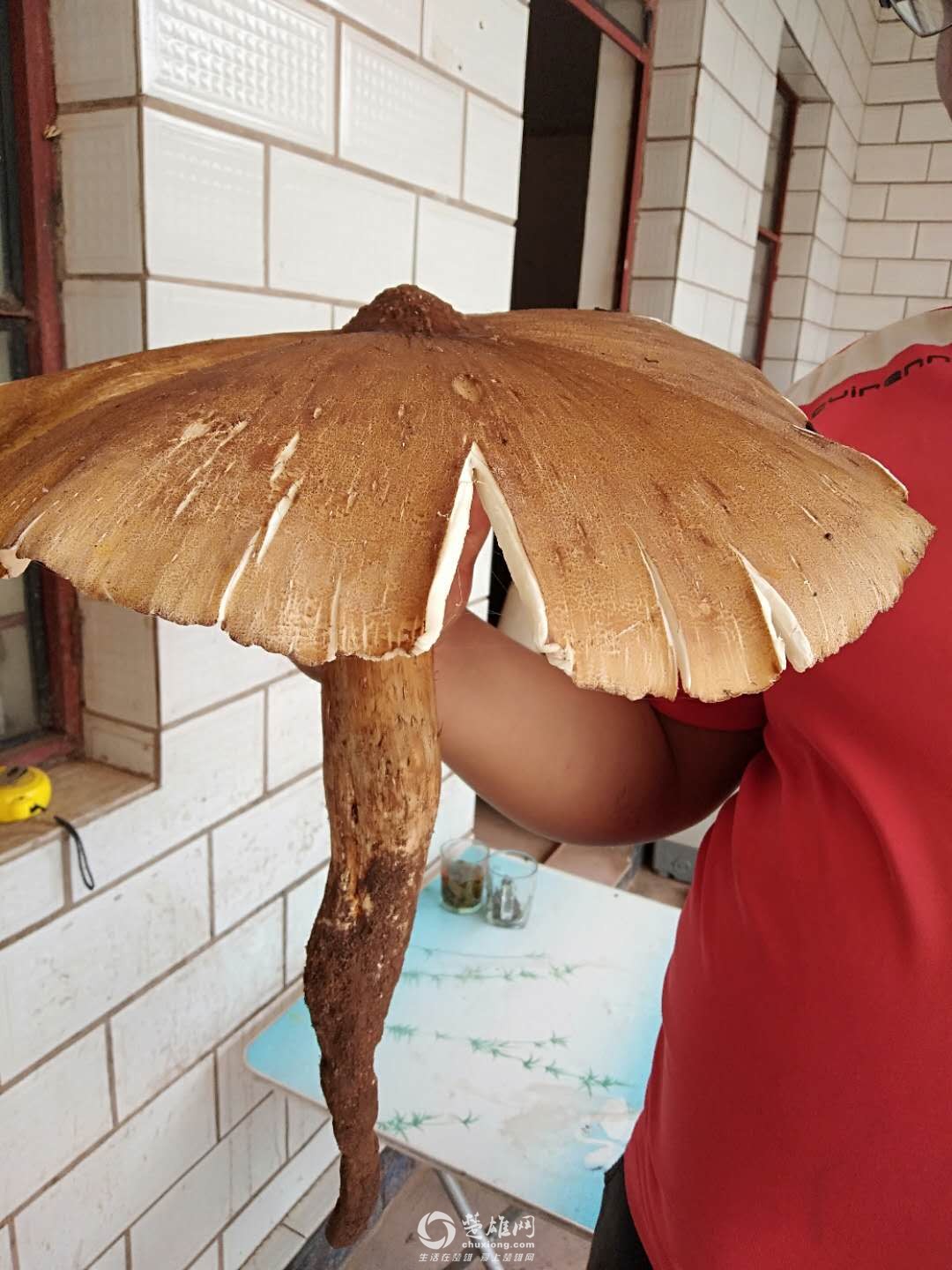 微信图片_20180914101018.jpg