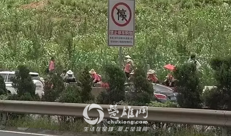 QQ图片20180916160621.png