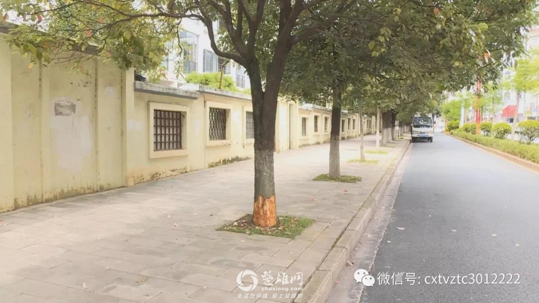 微信图片_20180919092133.jpg