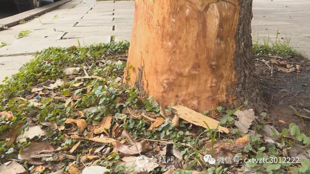微信图片_20180919092138.jpg