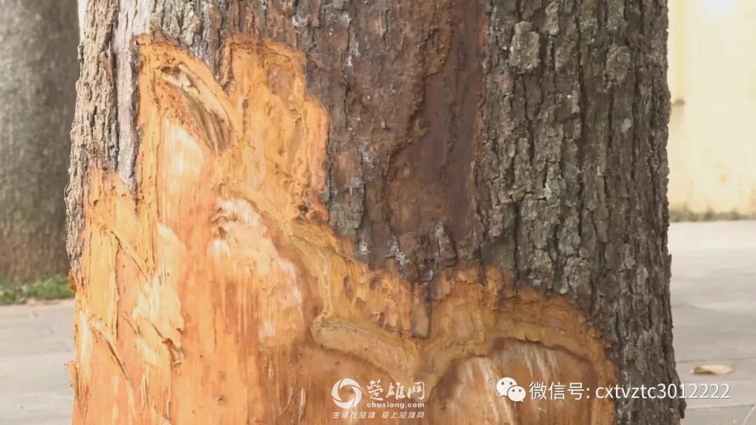 微信图片_20180919092141.jpg