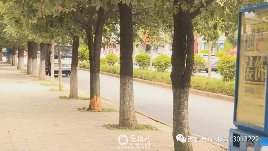 微信图片_20180919092144.jpg
