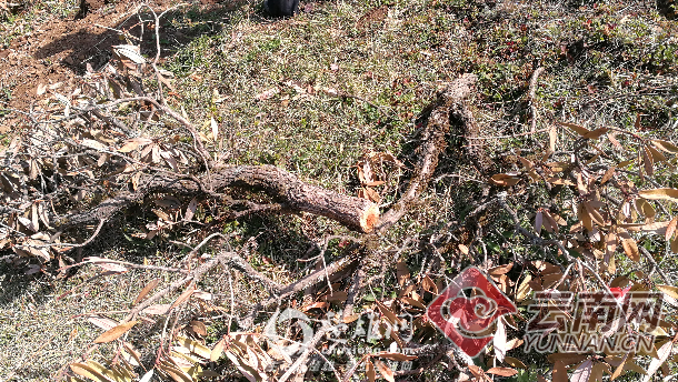 00300115649_19f5e16a.jpg