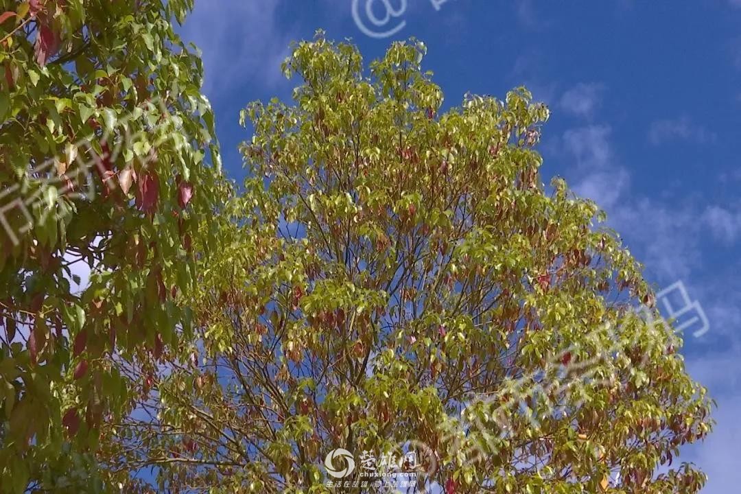 微信图片_20180920100208.jpg