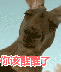 微信图片_20180920114939.gif