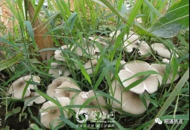 微信图片_20180922094446.jpg