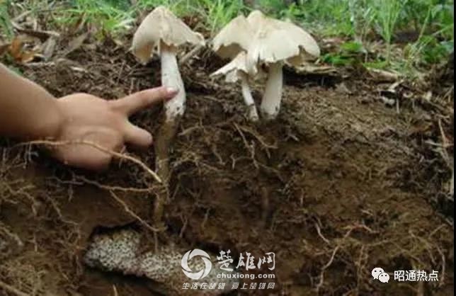 微信图片_20180922094456.jpg