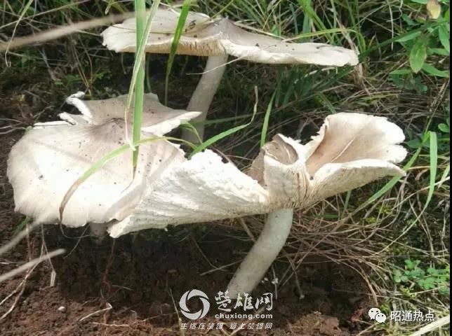 微信图片_20180922094500.jpg
