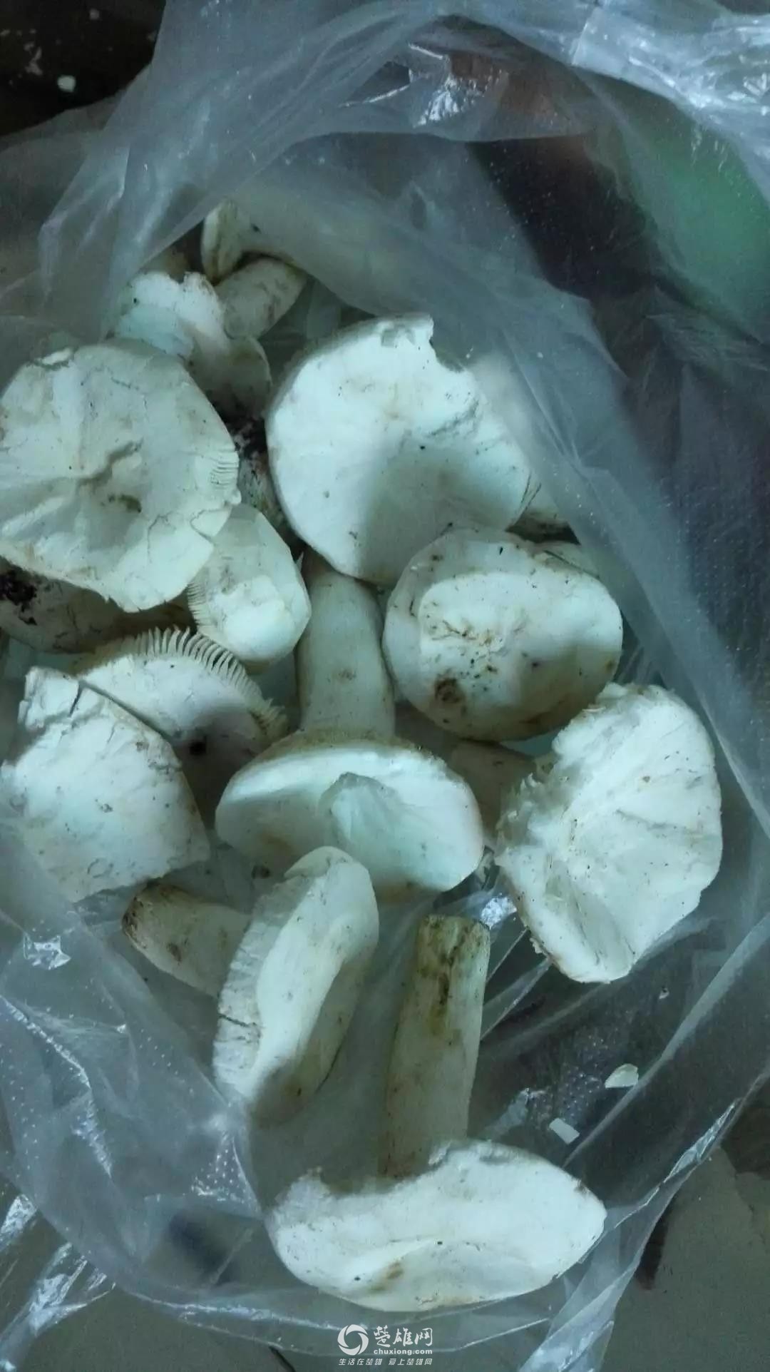 微信图片_20180922144348.jpg