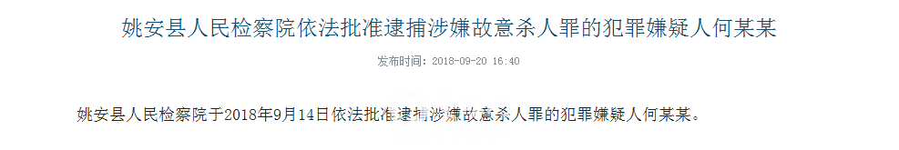 犯罪嫌疑人何某某.png